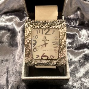 Zebra rhinestone Jimmy Crystal watch.